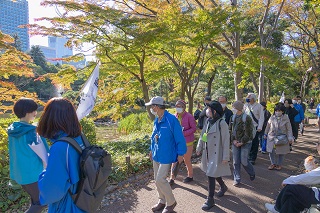 公園内の樹木の説明
