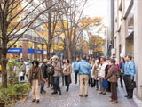 丸の内仲通りの街路樹2