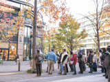 丸の内仲通りの街路樹3