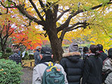 雲形池付近の紅葉について説明