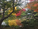 水面に映る紅葉も素敵