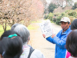 桜と梅の違いについて説明