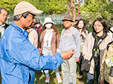 天然の木の実の洗剤「ムクロジ」です