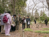 山野草園を見学