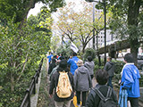 日比谷公園の脇に整備された初めての緑化道路