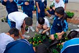大郷中学校1