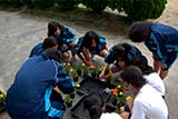 大郷中学校2