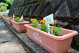 磐城緑蔭中学・高等学校4