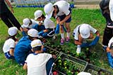 高坂小学校1