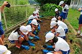 高坂小学校2