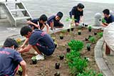 内郷第二中学校1