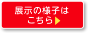 展示の様子は こちら