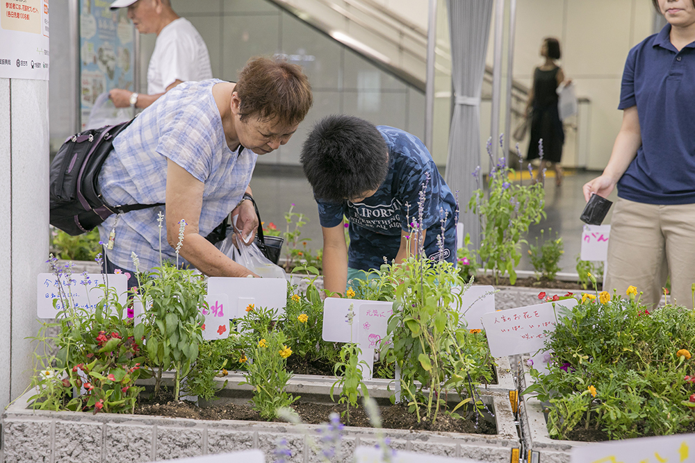 「道で咲かせよう」東北の花プロジェクト