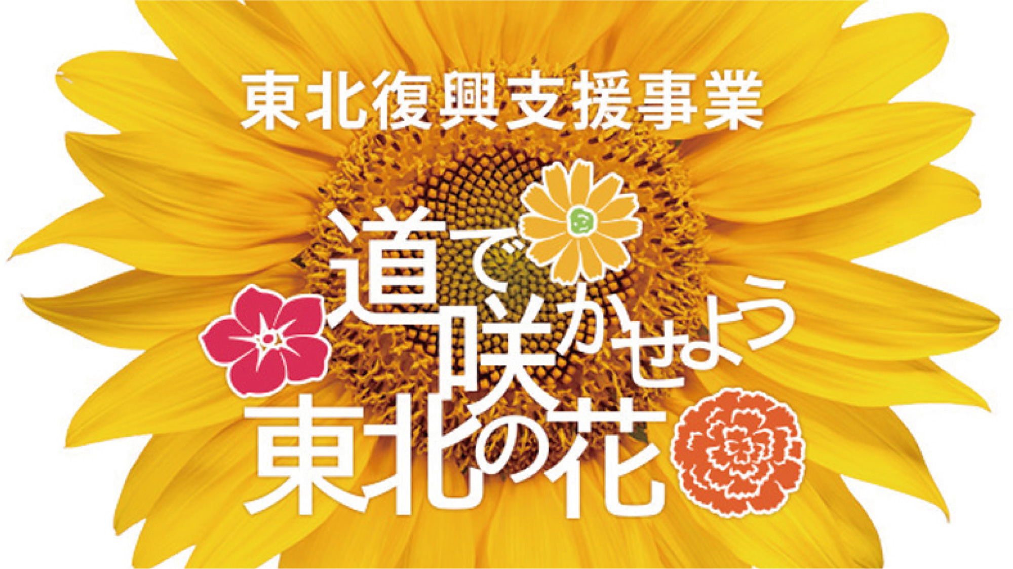 東北復興支援事業　道で咲かせよう東北の花