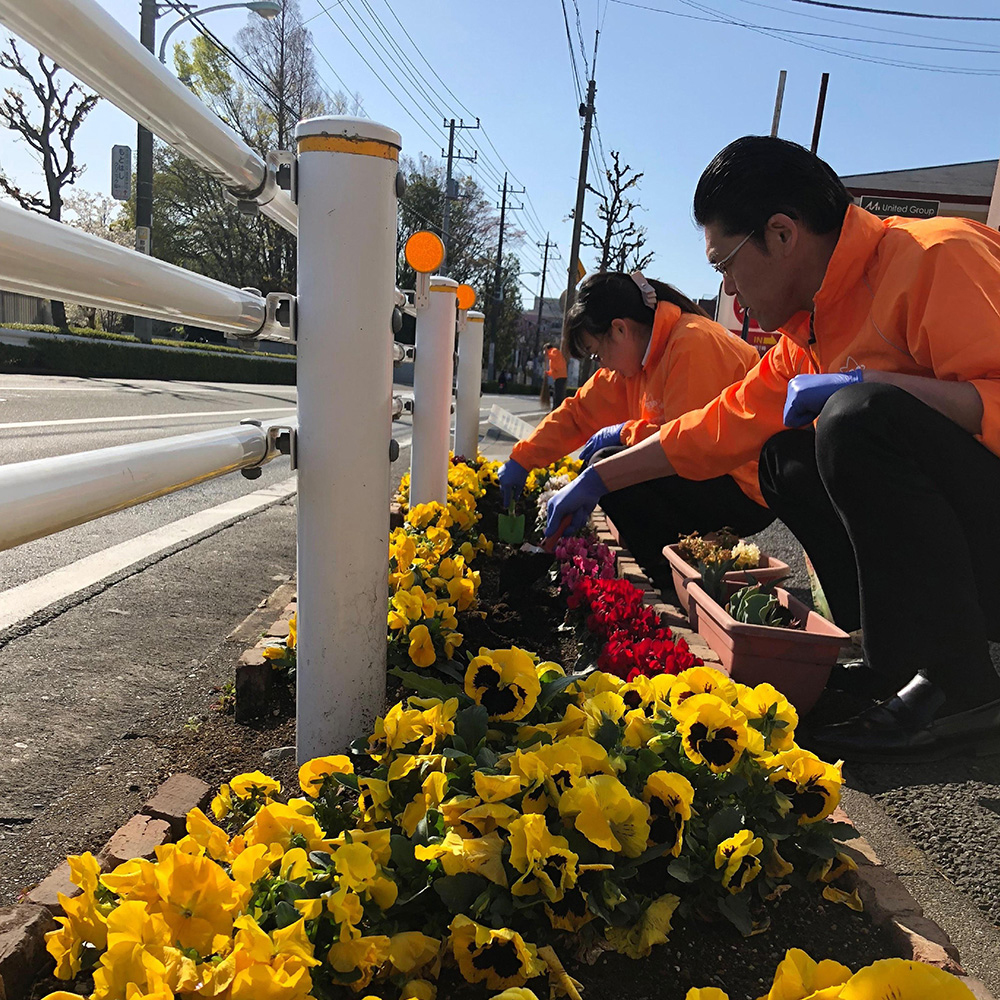 花壇を華やかにする四季折々の花たち