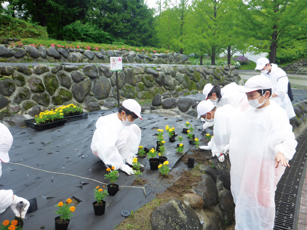 道で咲かせよう東北の花