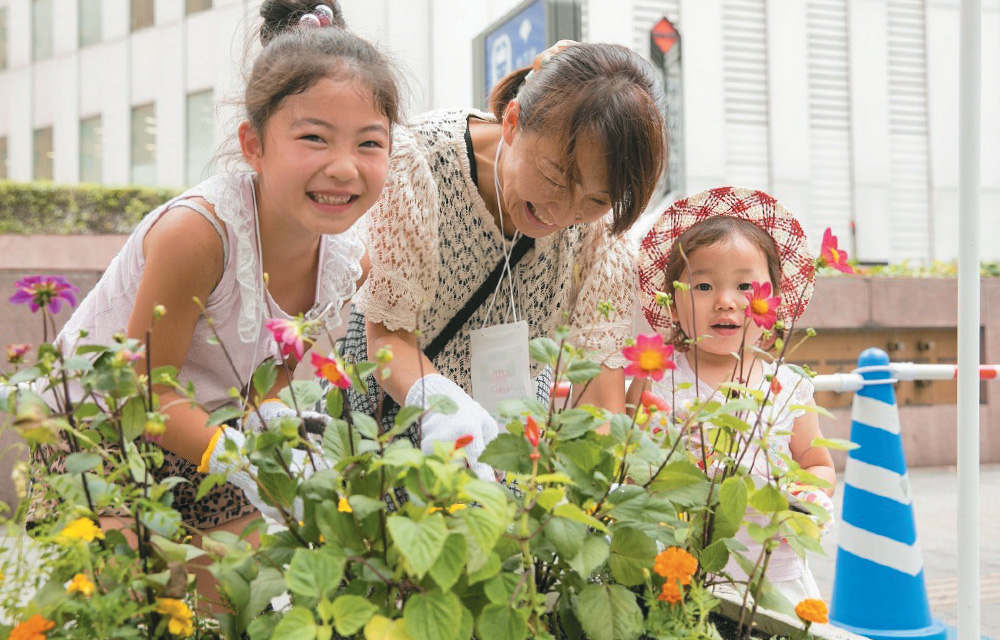 花苗の定植