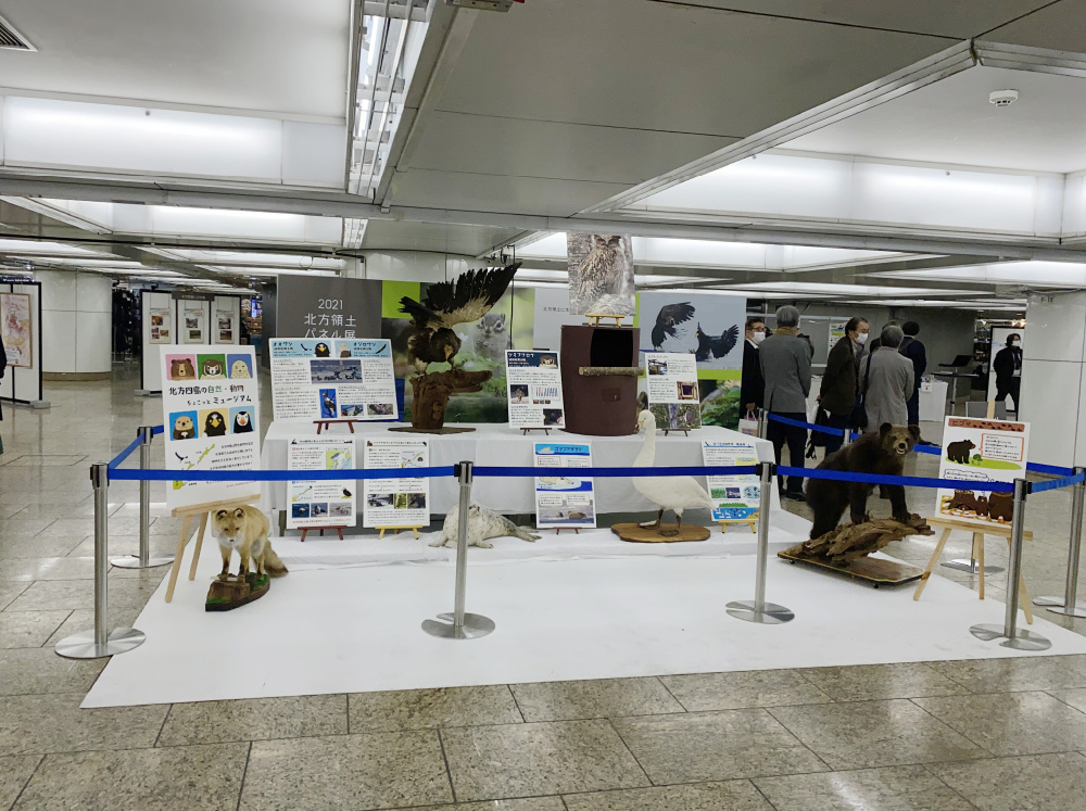 新宿駅西口広場イベントコーナー「北方領土パネル展」