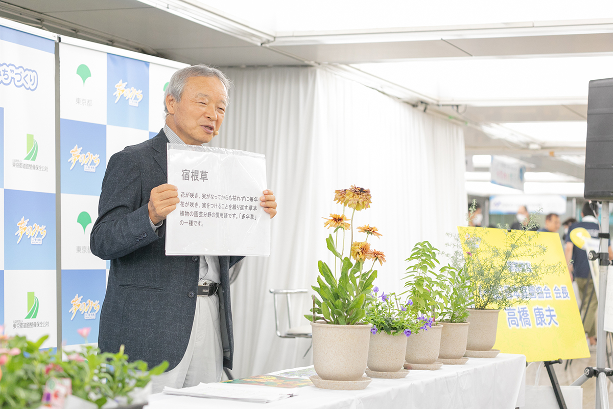 人気の花苗の特徴と育て方について