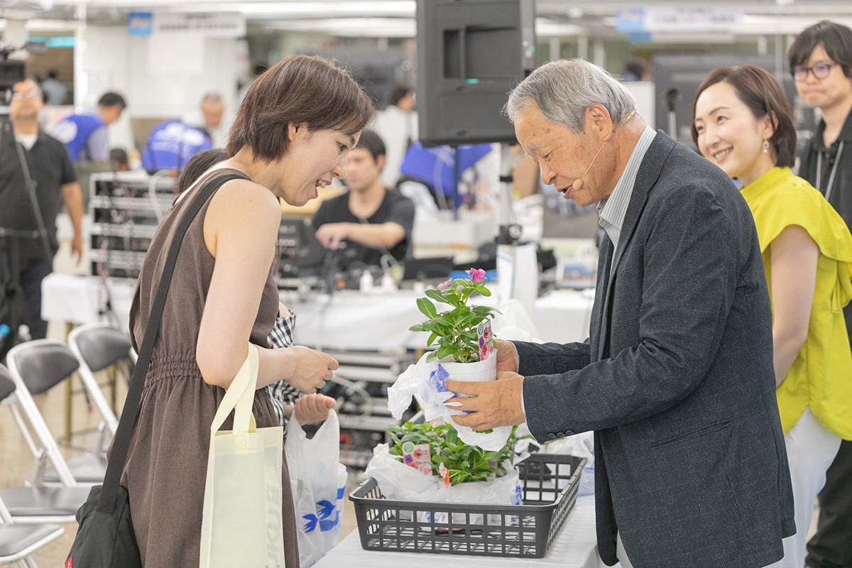 人気の花苗の特徴と育て方について