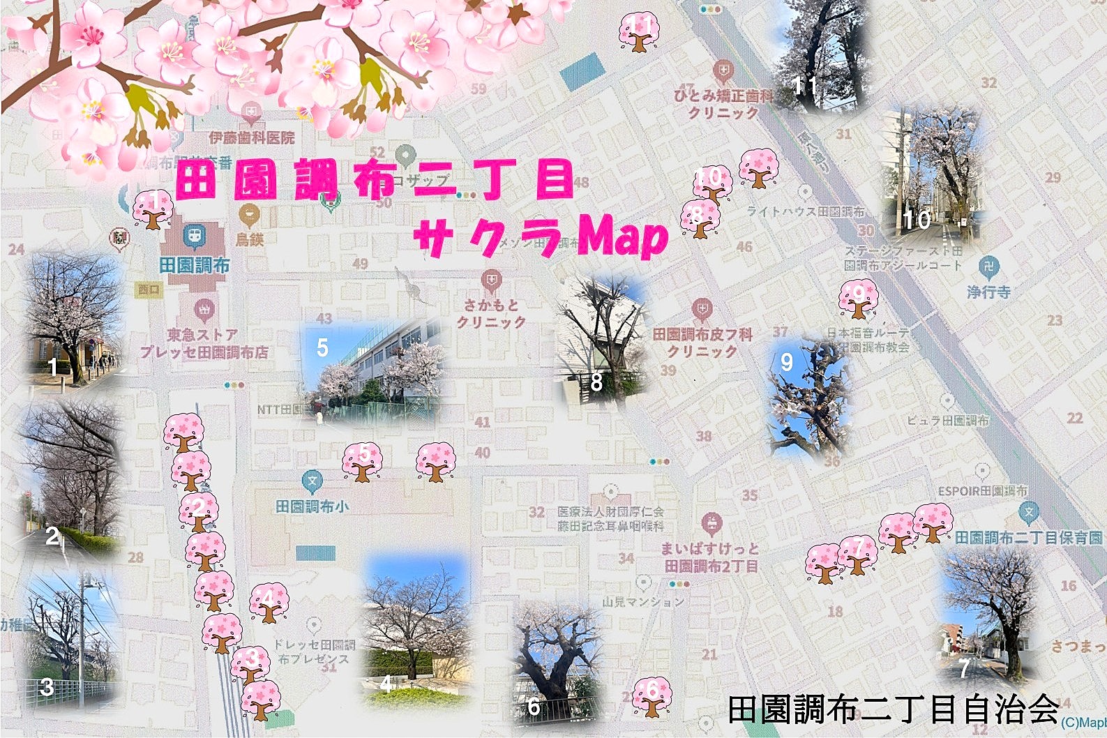 サクラの見どころがひと目で分かる、田園調布二丁目の名所マップ
